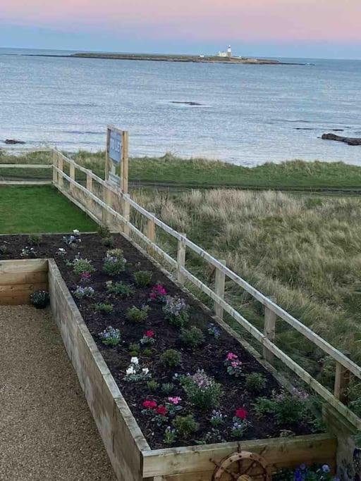 Signal House - A Stunning Beach House - 2020 Build Amble Luaran gambar